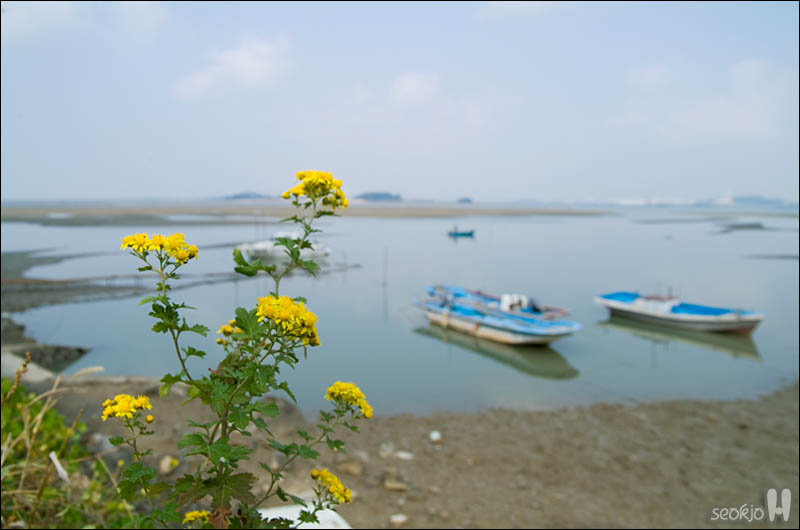 DSCF6345.jpg