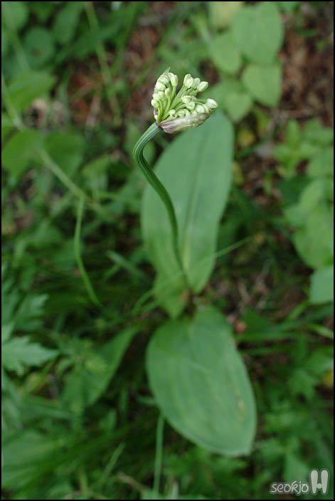 DSCF7079.jpg