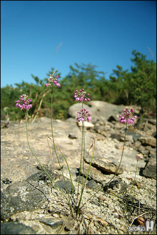 DSCF9964.jpg