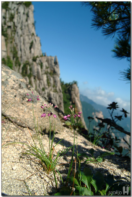 DSCF1292.jpg
