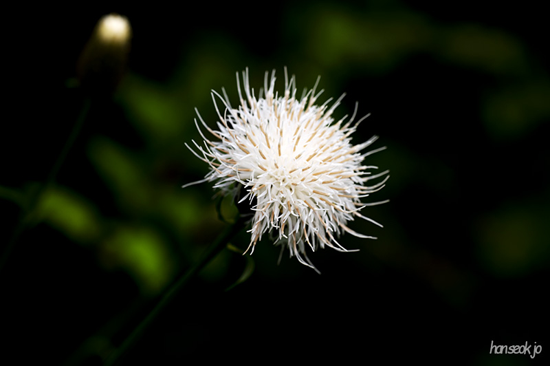 DSC_1268.jpg