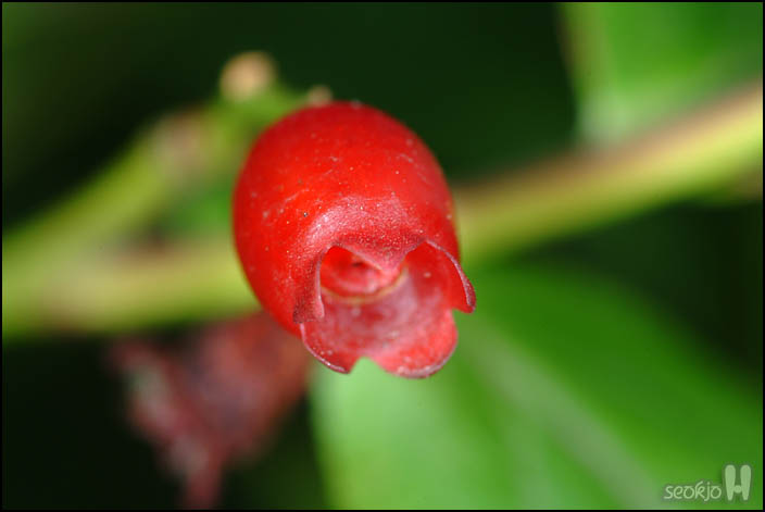 DSCF1825.jpg
