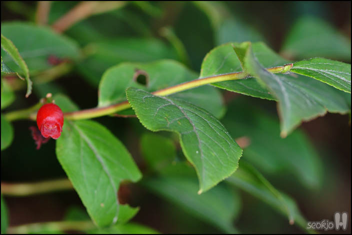 DSCF1826.jpg