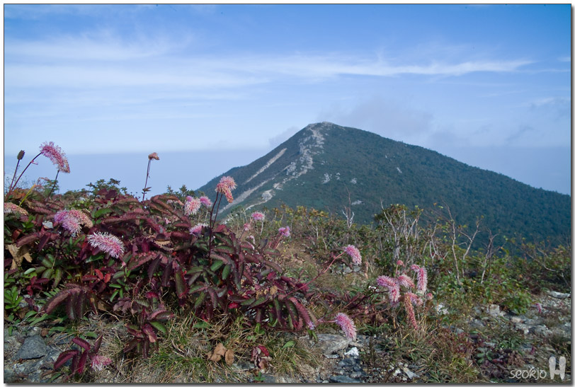 DSCF1177.jpg