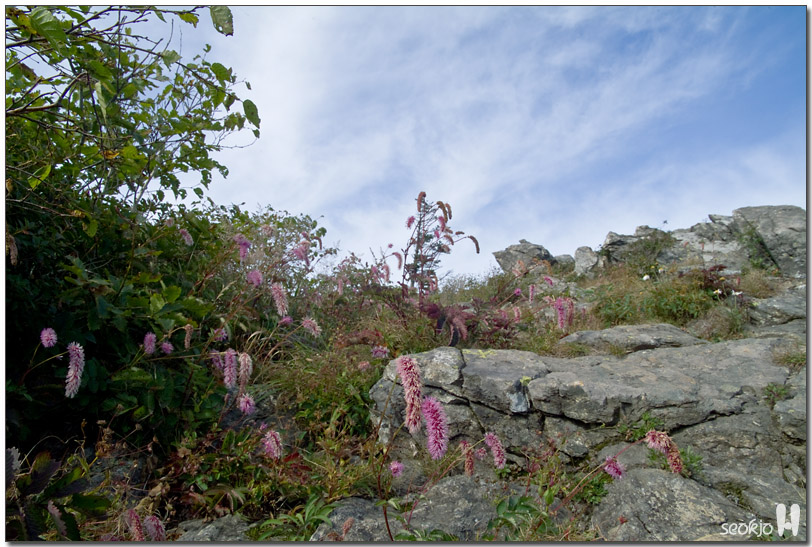 DSCF1176.jpg