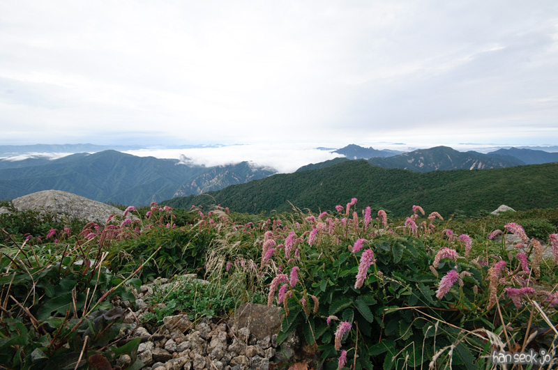DSC_8147.jpg