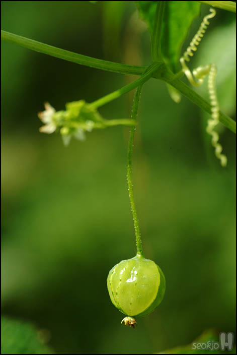 DSCF9022.jpg