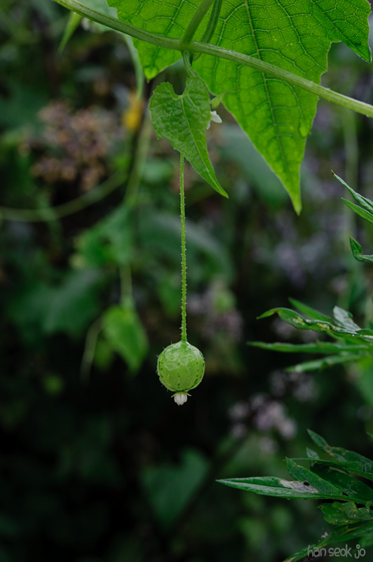 HSJ_0422.jpg