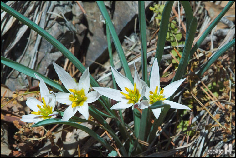 DSCF5053.jpg