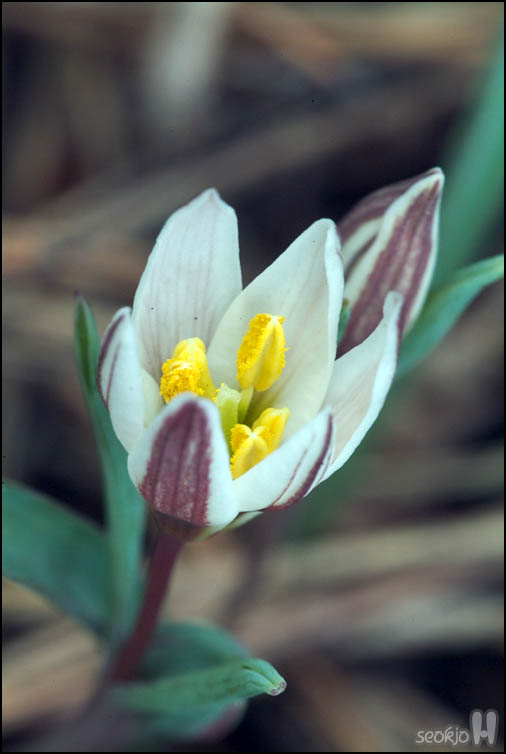 DSCF1888.jpg