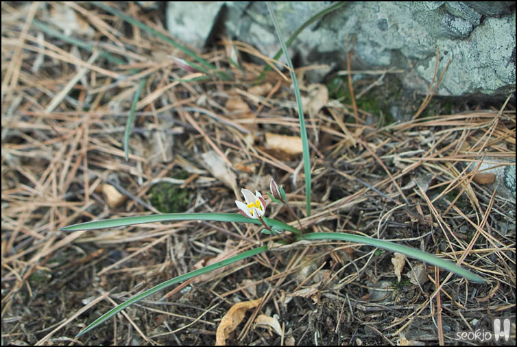 DSCF1881.jpg