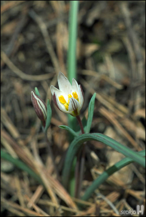 DSCF1886.jpg
