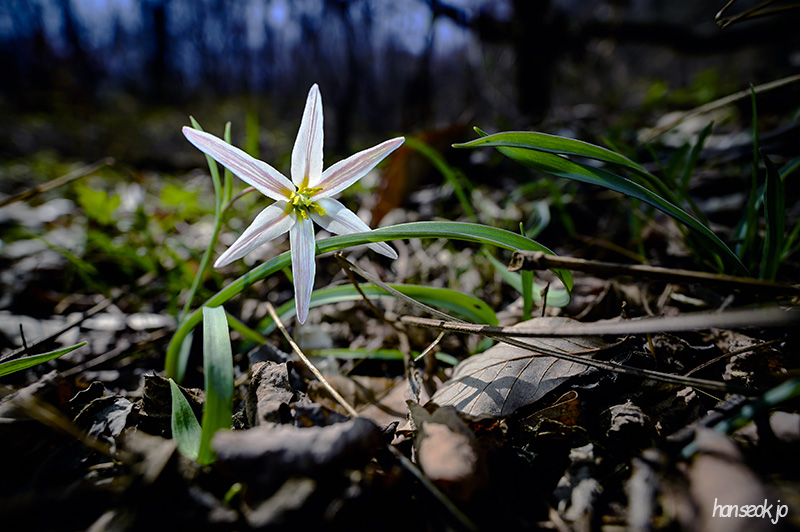 DSC_1867.jpg