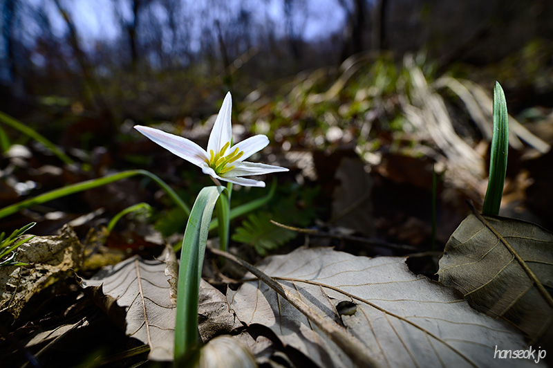 DSC_1872.jpg