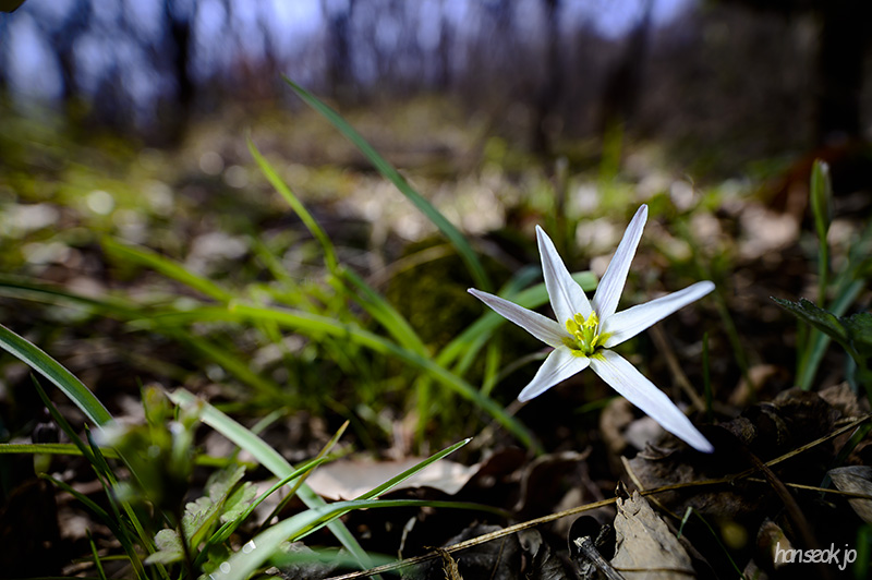 DSC_1866.jpg