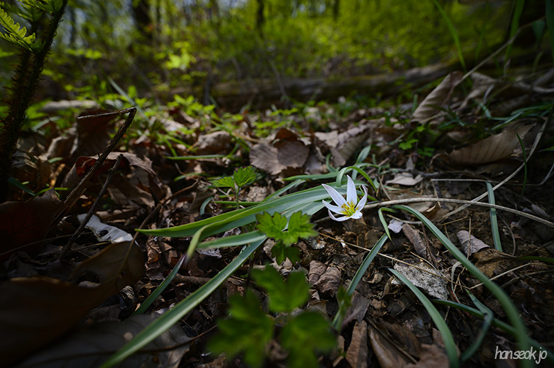 DSC_2045.jpg
