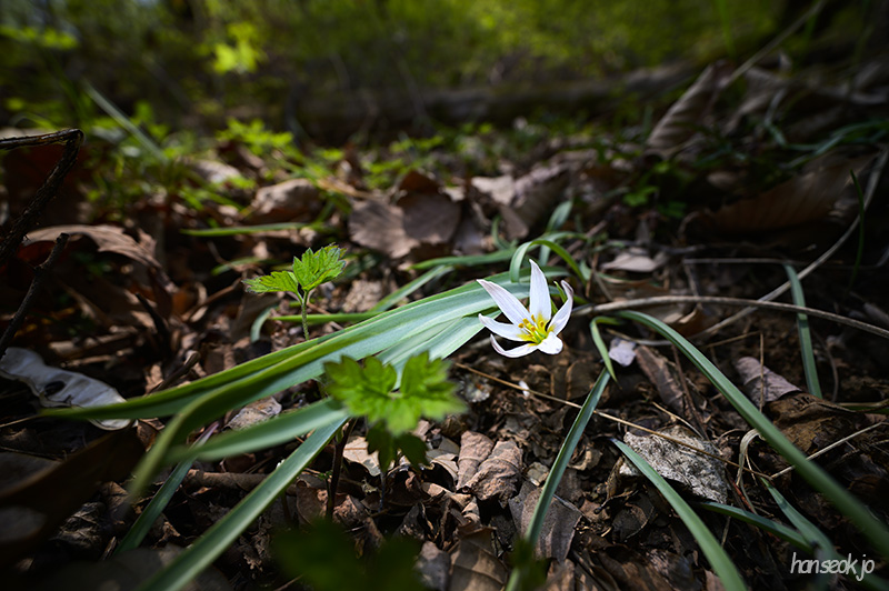 DSC_2049.jpg
