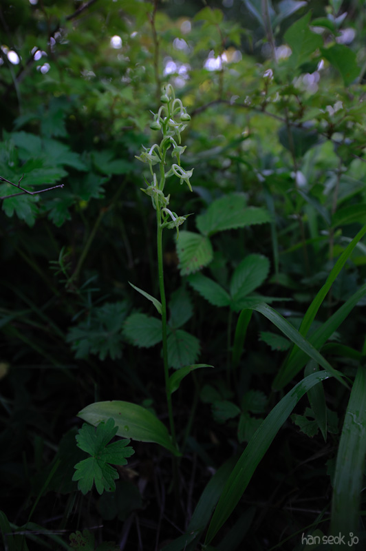 HSJ_4351.jpg