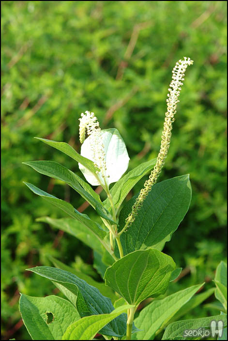 DSCF1052.jpg