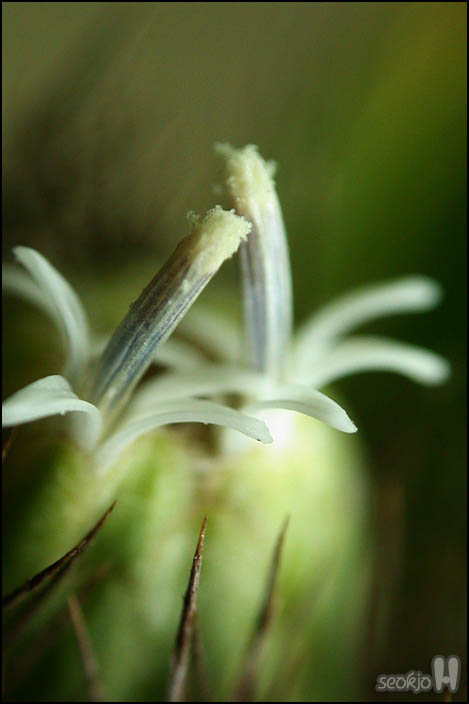 DSCN9501.jpg