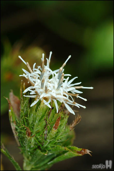 DSCF1773.jpg