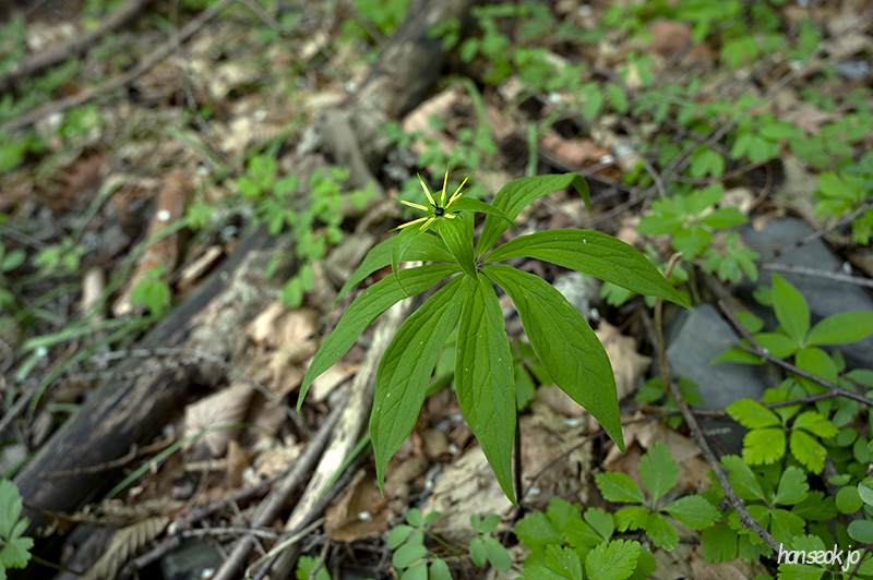 DSC_5156.jpg
