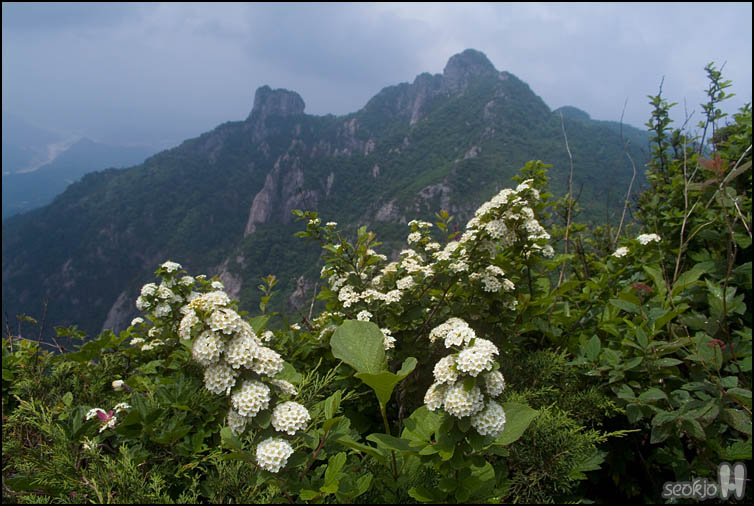 DSCF1851.jpg