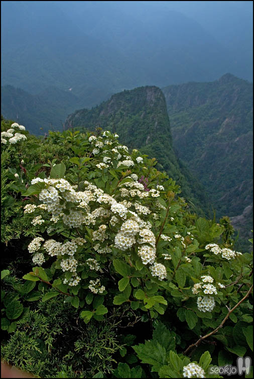 DSCF1852.jpg