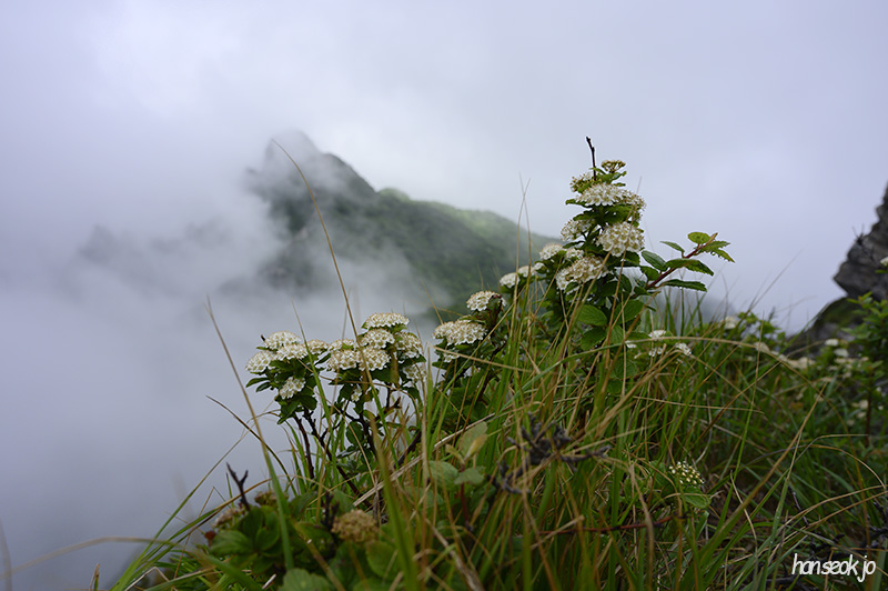 HAN_0452.jpg