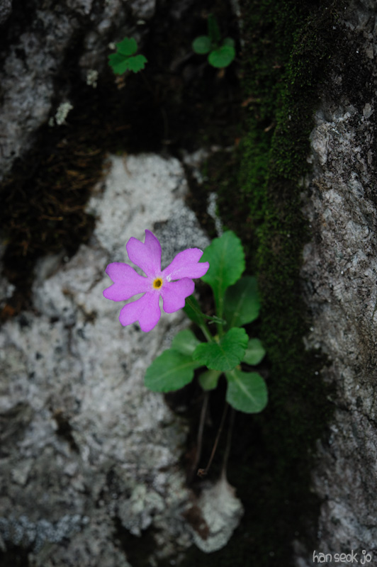 HSJ_3191.jpg