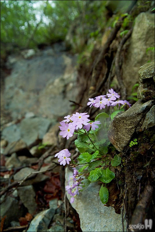 DSCF3650.jpg