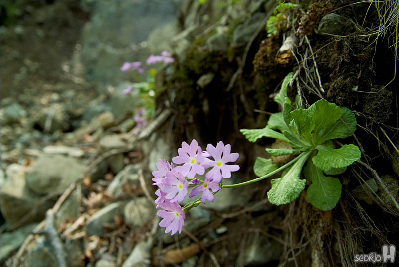 DSCF3717.jpg