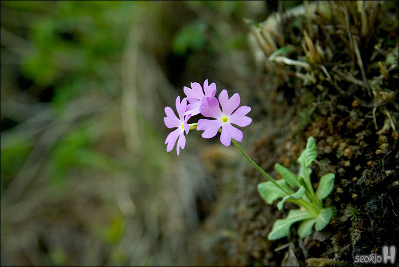 DSCF3675.jpg