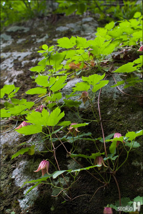 DSCF9171.jpg