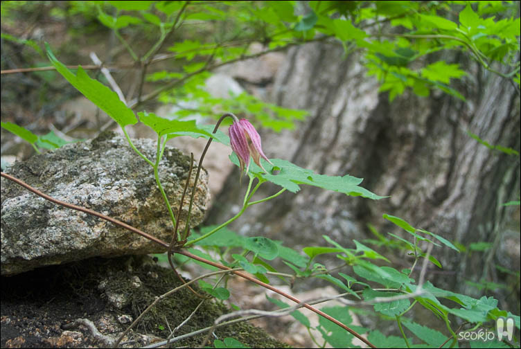 DSCF9176.jpg