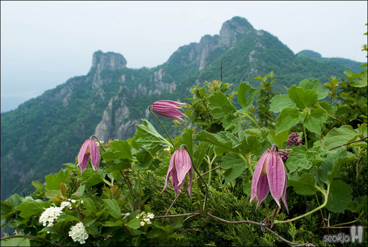 DSCF9498.jpg