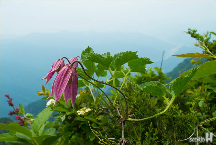 DSCF9499.jpg