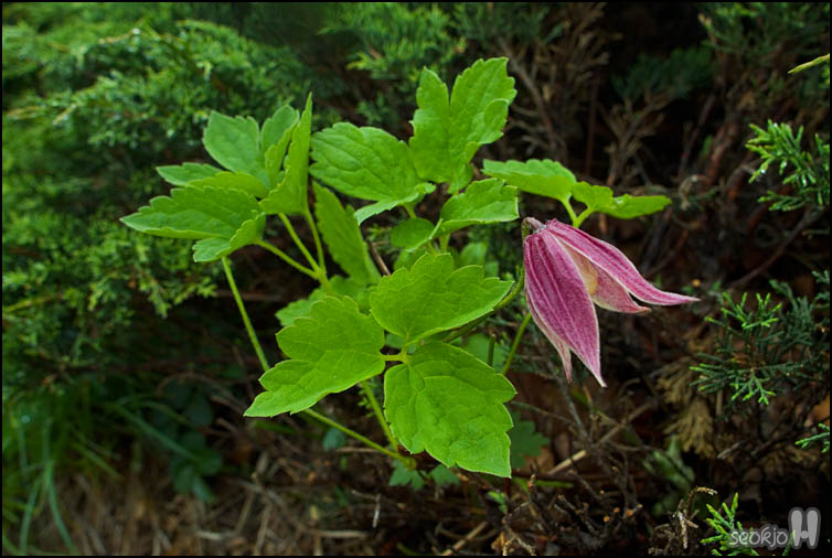 DSCF1843.jpg