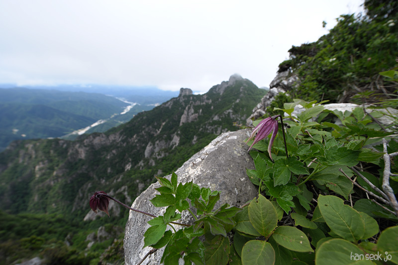 HSJ_3670.jpg