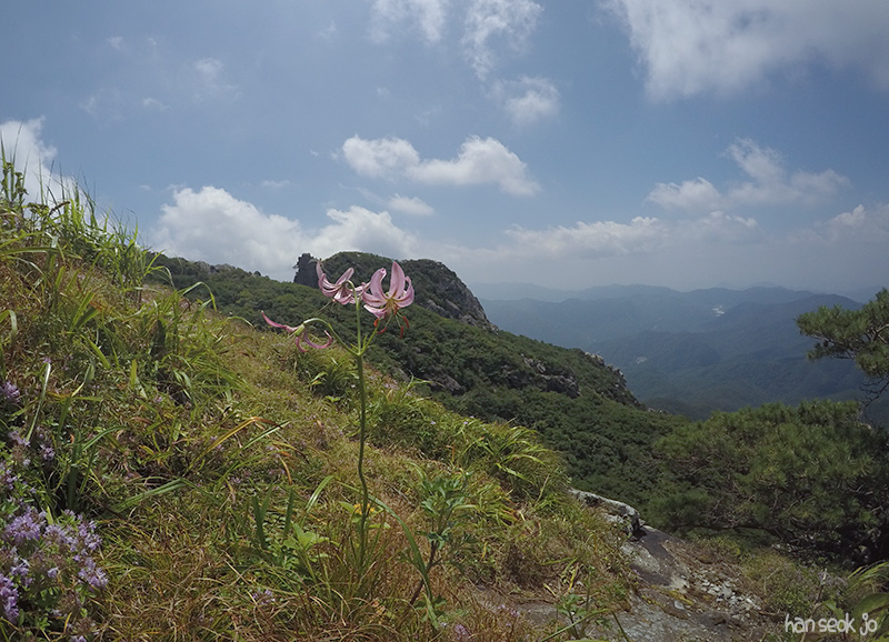 HSJ_0746.jpg
