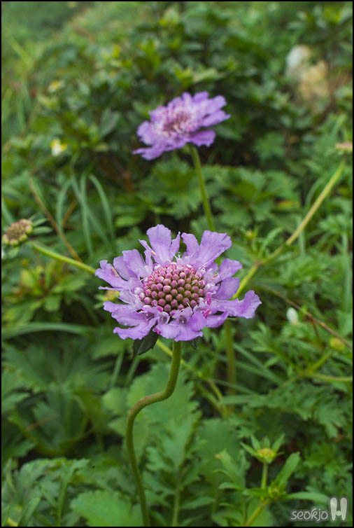 DSCF8092.jpg