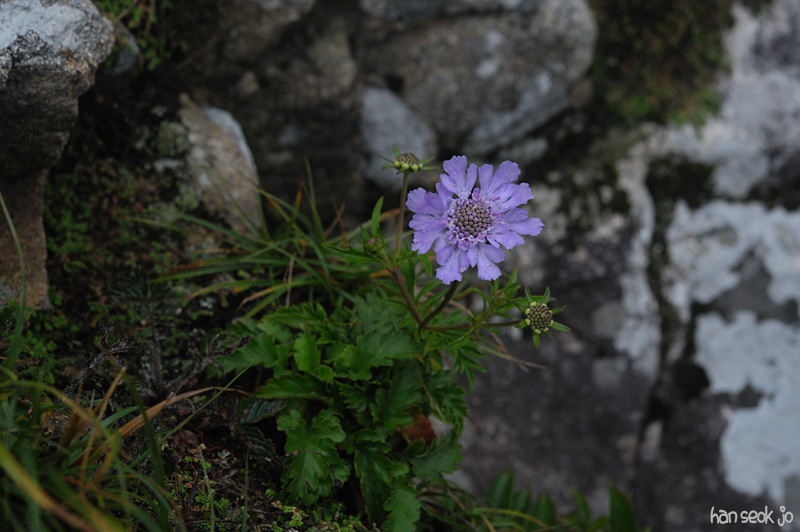HSJ_4454.jpg