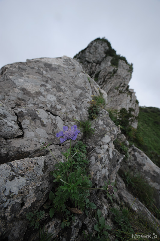 HSJ_4533.jpg