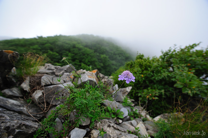 HSJ_0797.jpg