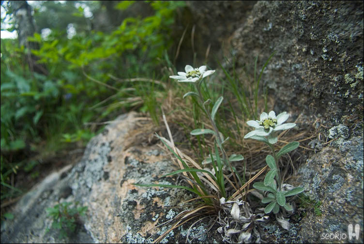 DSCF9196.jpg