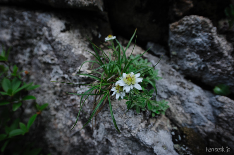 HSJ_0463.jpg