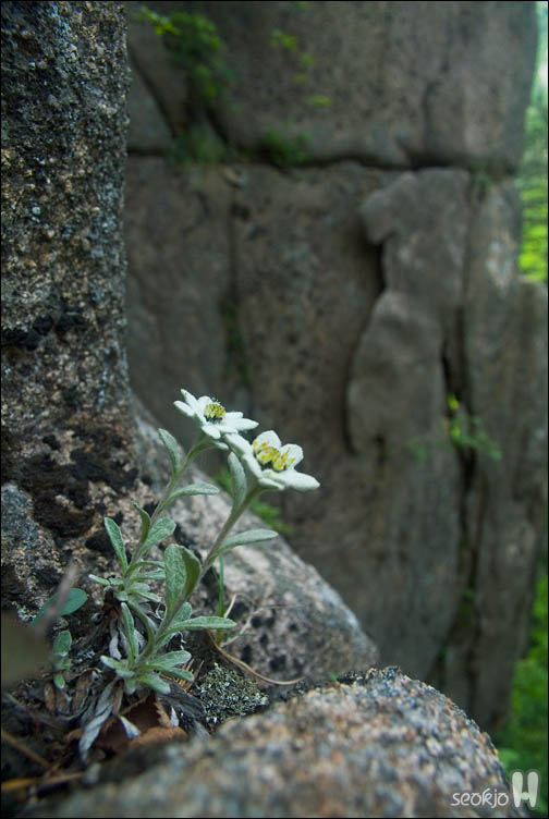 DSCF9191.jpg