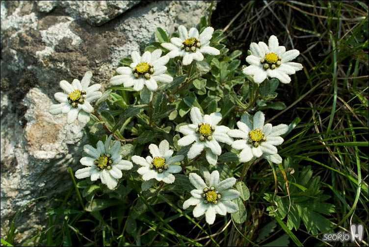 DSCF9474.jpg