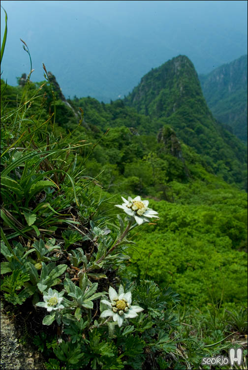 DSCF9484.jpg
