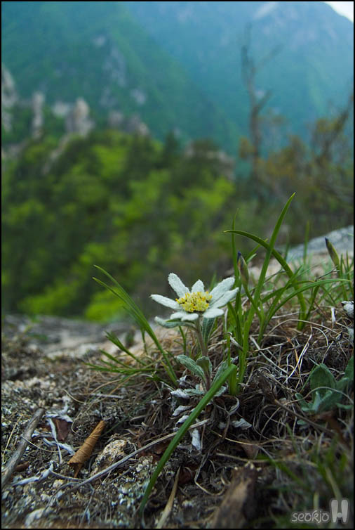 DSCF1029.jpg